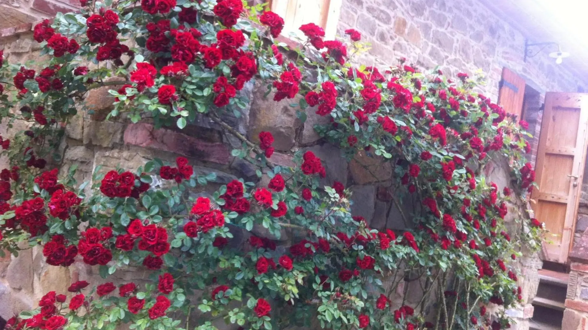Holiday home Cozy House In Monte San Savino Villa