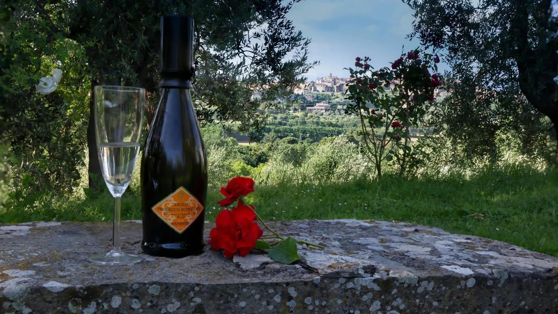Cozy House In Monte San Savino Villa Holiday home