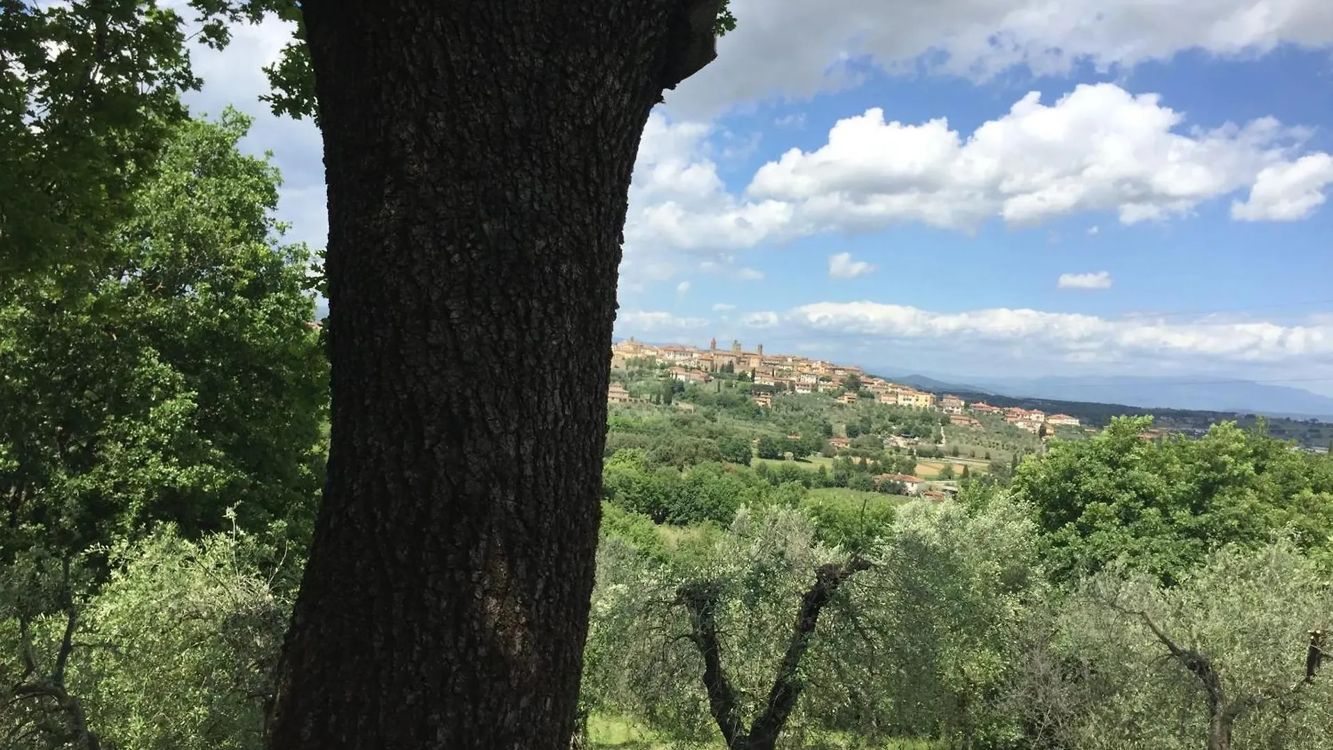 Cozy House In Monte San Savino Villa