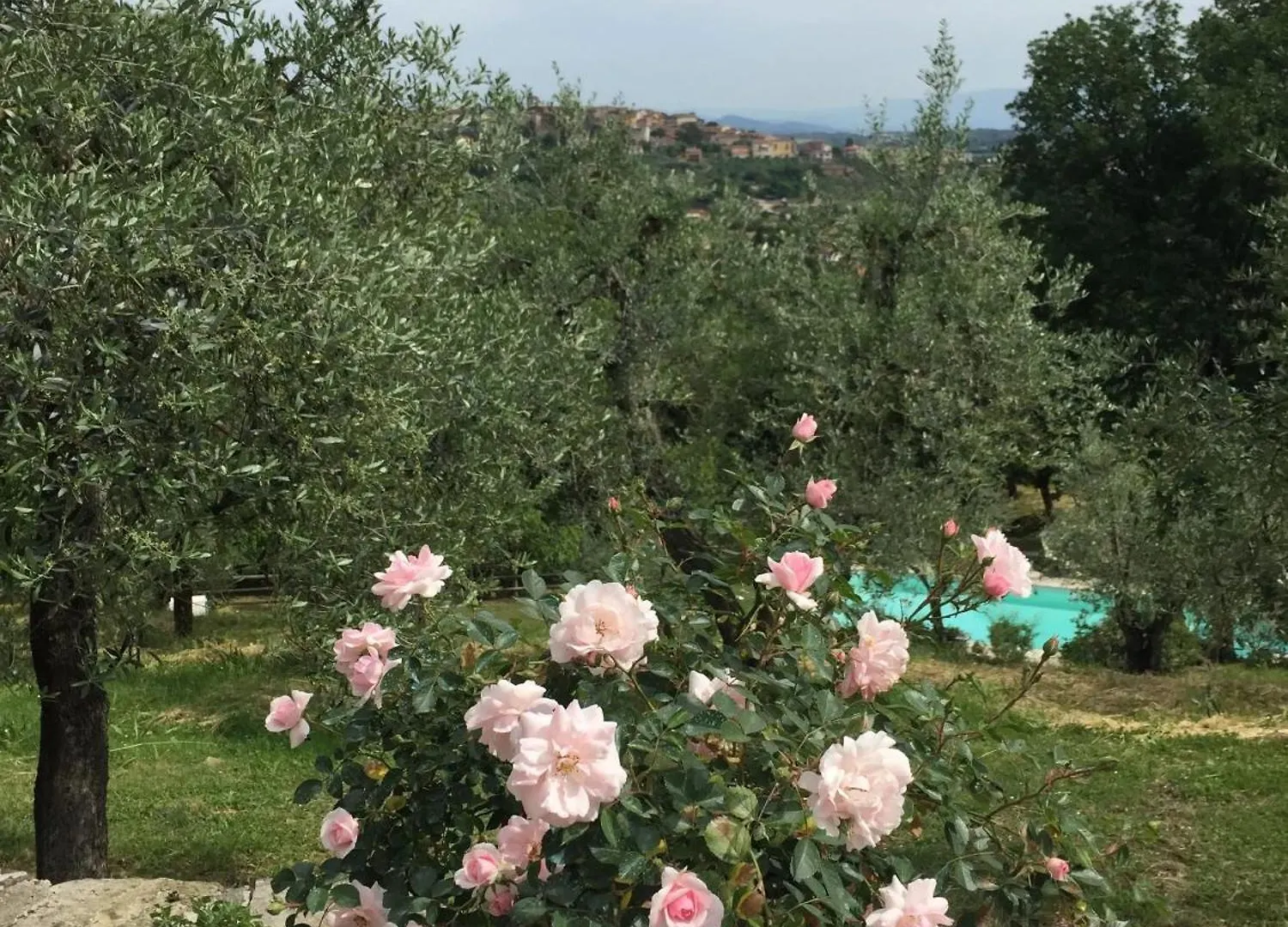 Cozy House In Monte San Savino Villa